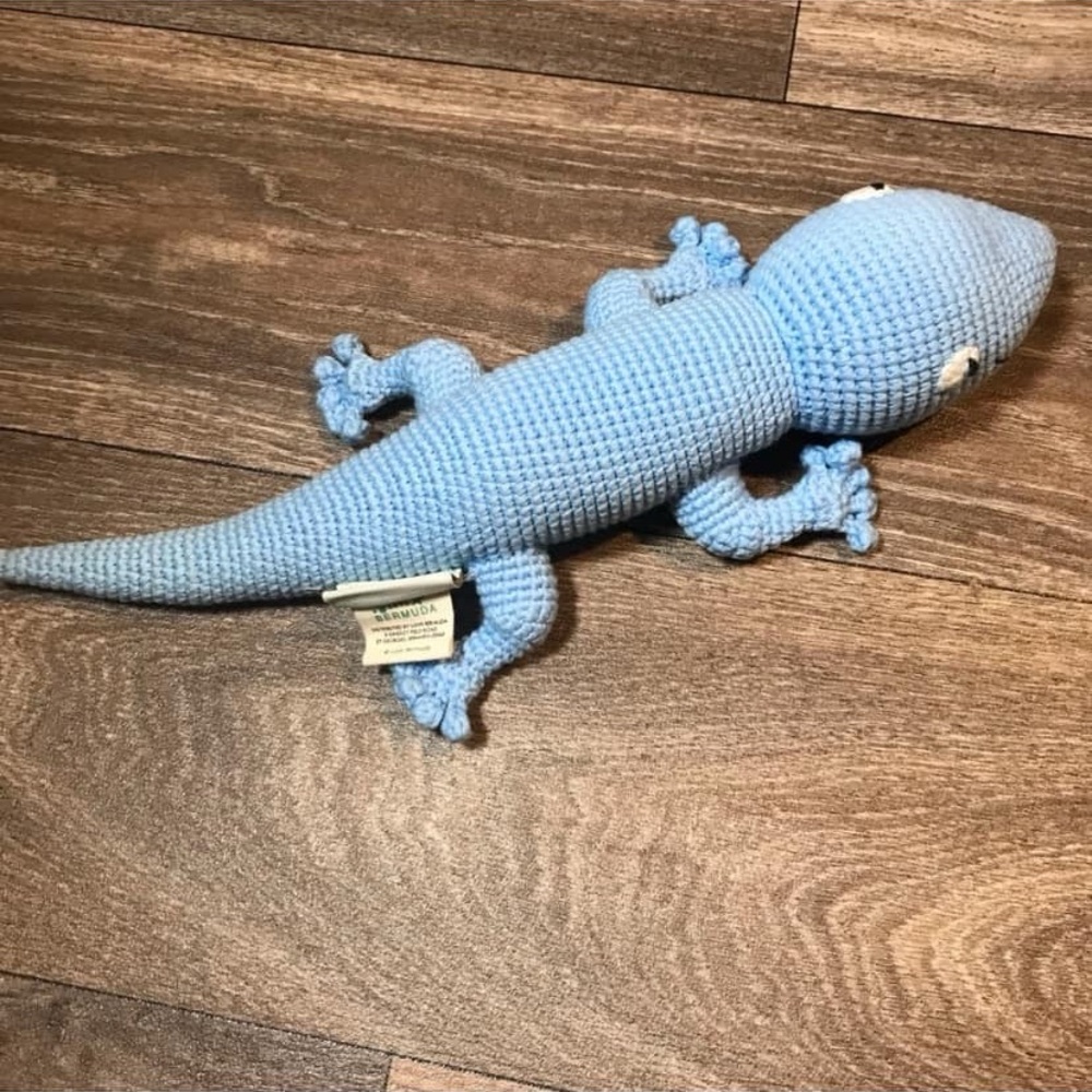 Love Bermuda Gecko